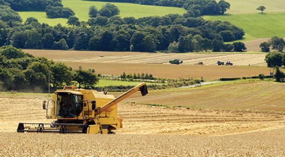 harvest harvest