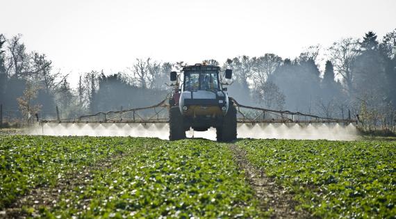 Rothamsted_Research_4254_Crop spraying