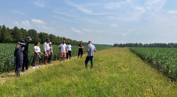 Hendred in field wildflower strip_demoPAG_CCarvell.jpg