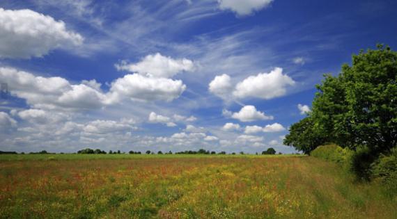 Free farm health check