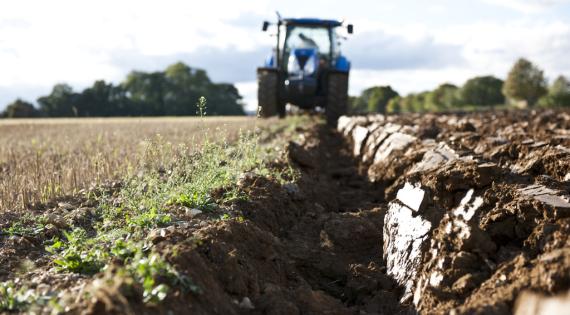 Ploughing Broadbalk Ploughing Broadbalk