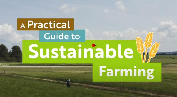 Practical guide to sustainable farming video series screenshot