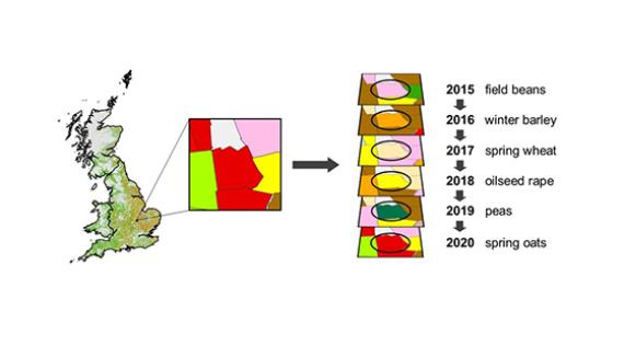 Crop rotations schematic diagram