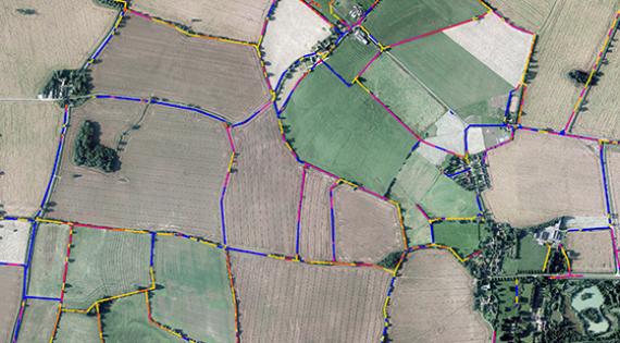 Aerial LIDAR image of hedges in a farmed landscape