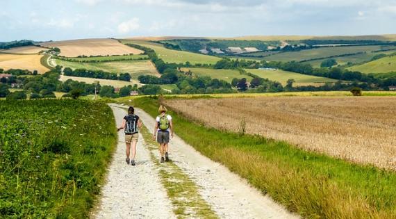 Two people walking through farmland