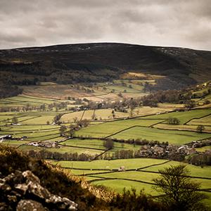 A landscape of fields, hedges, walls, trees and woods by Illiya Vjestica on Unsplash.com