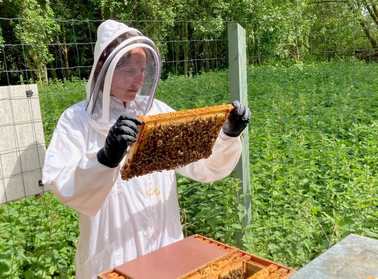 Jenny-Shelton-beekeeping