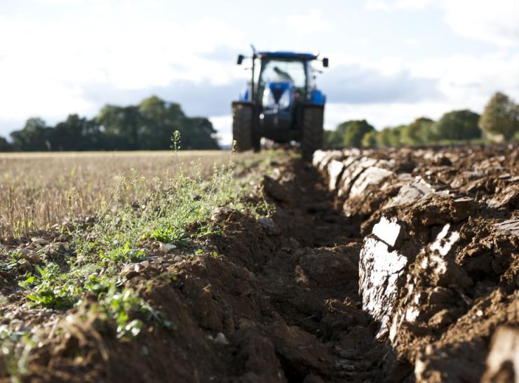 Ploughing Broadbalk