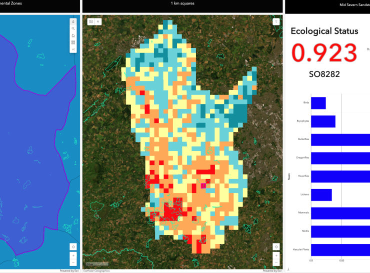 Screenshot from the Ecological Status tool